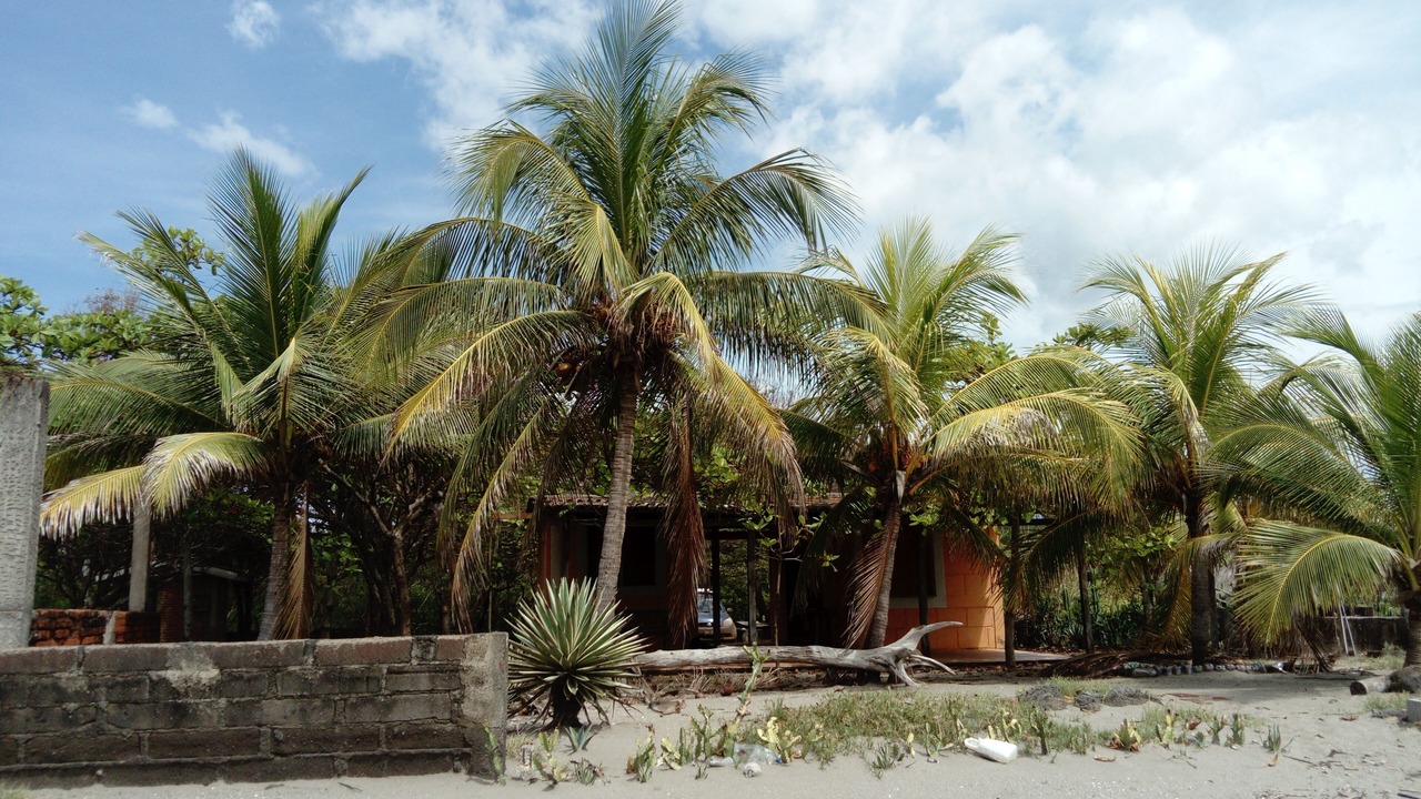 Photo of Outdoor in San Rafael del Sur