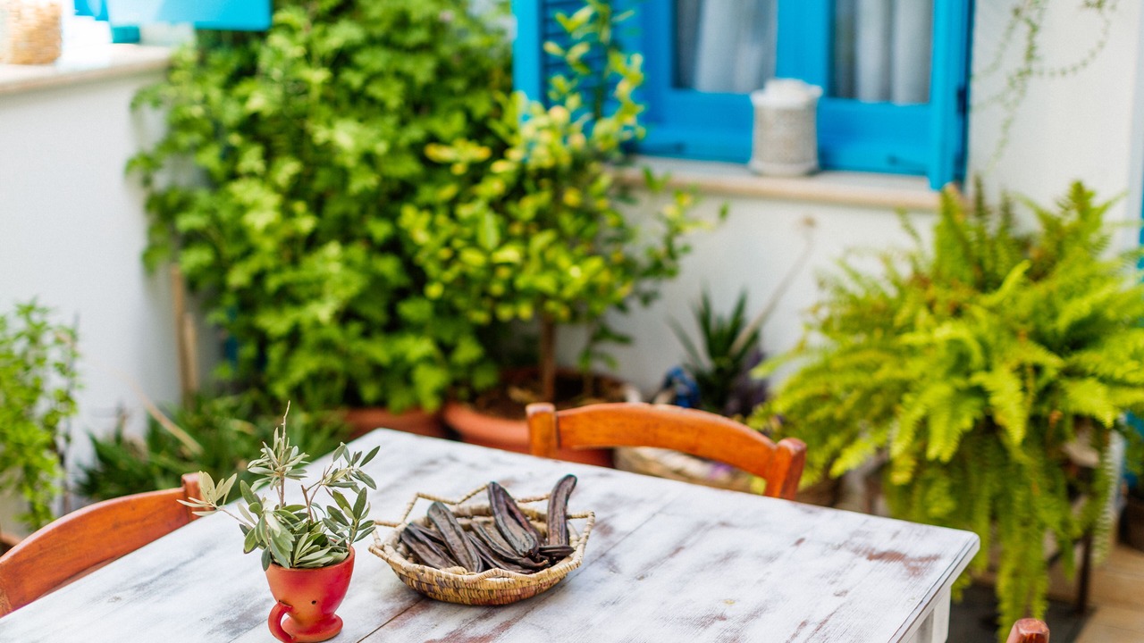 Photo of Outdoor in Yenisehir