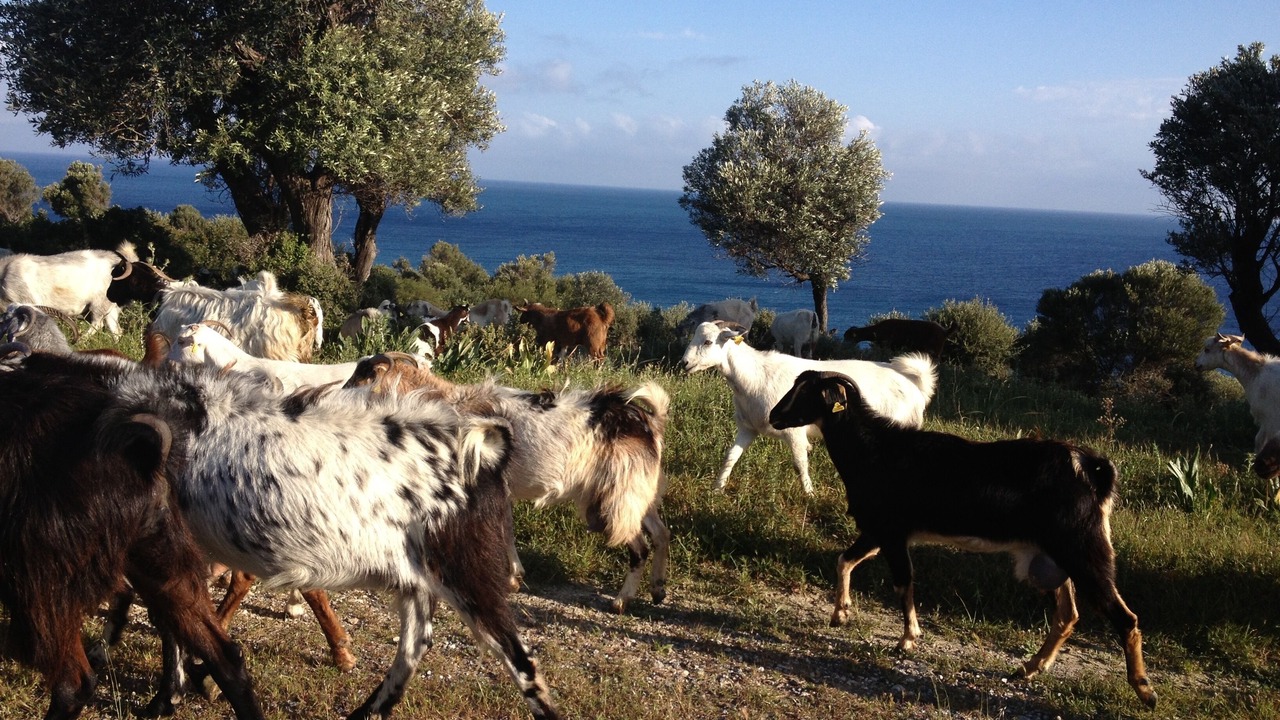 Photo of Outdoor in Kyrenia District