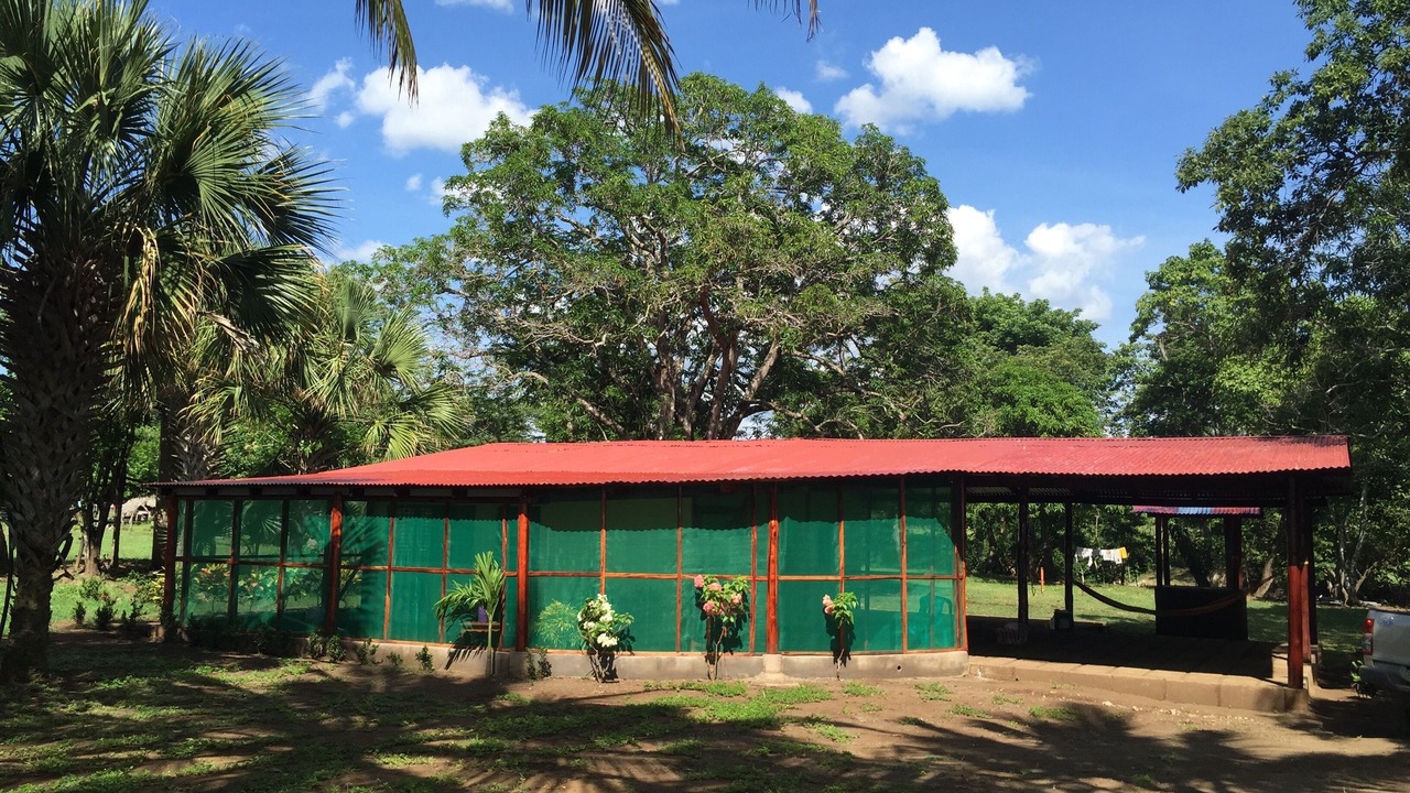 Photo of Outdoor in El Viejo