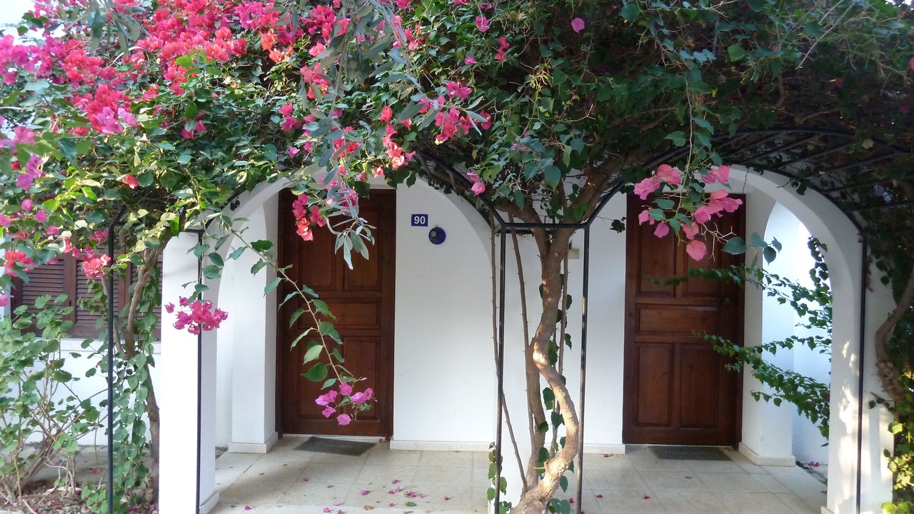 Photo of Outdoor in Kyrenia