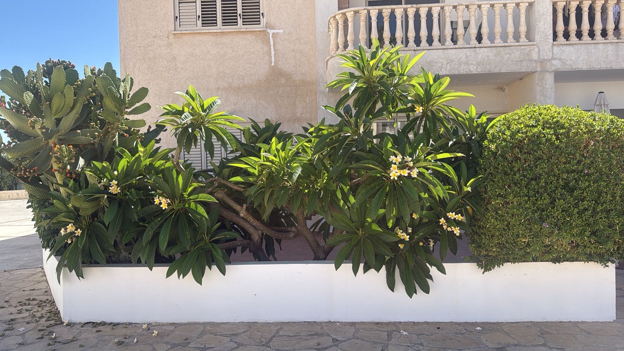 Photo of Outdoor in Mandria