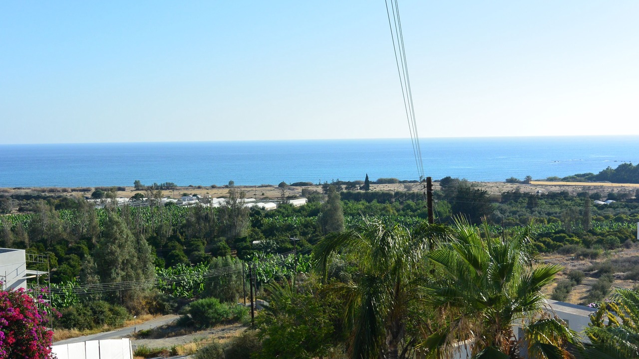 Photo of Others in Pegeia