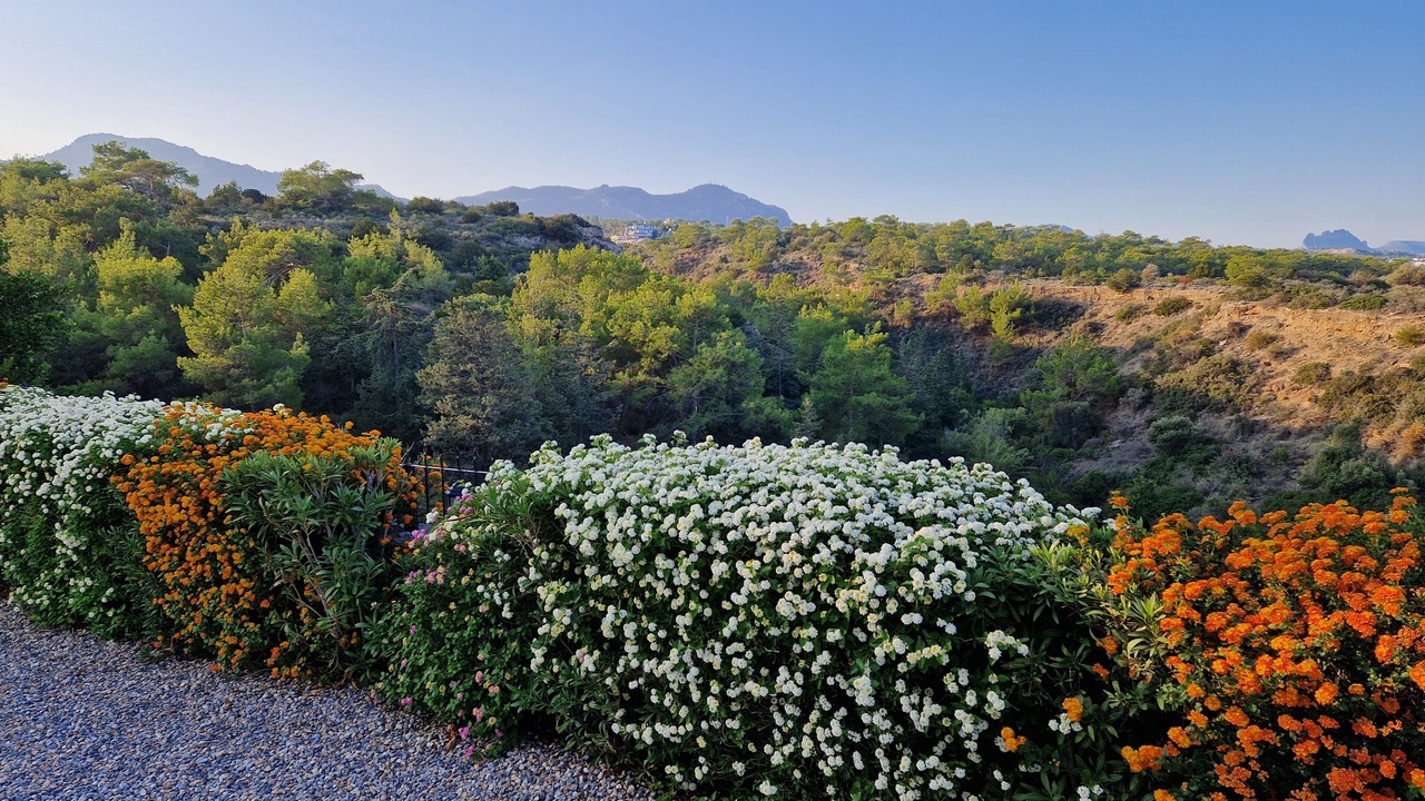 Photo of Outdoor in Esentepe