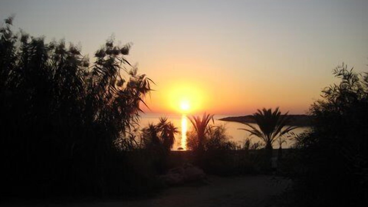 Photo of Others in Peyia Town