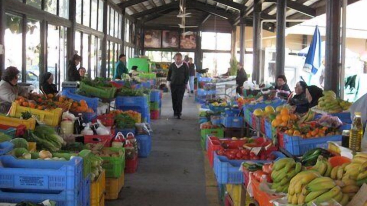 Photo of Others in Peyia Town
