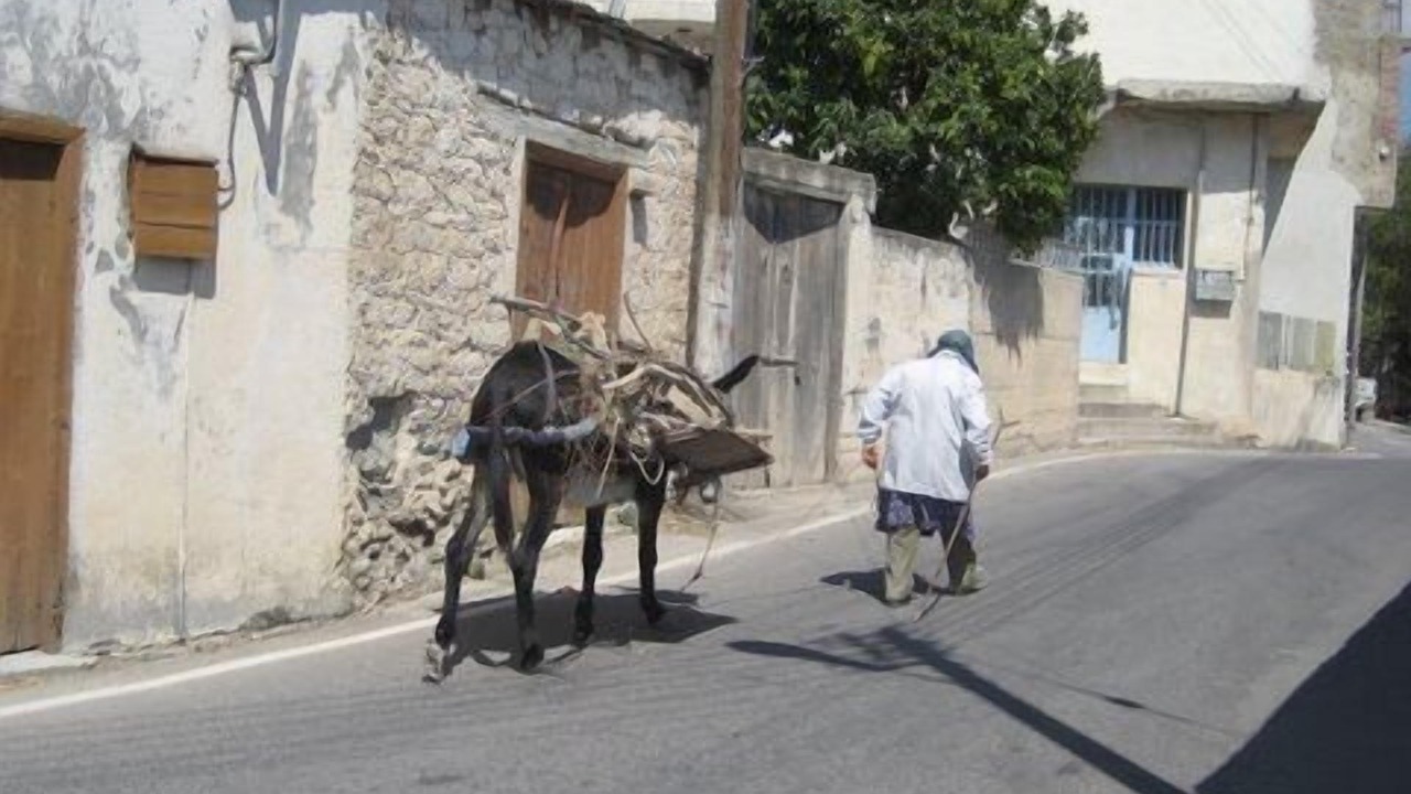 Photo of Others in Peyia Town