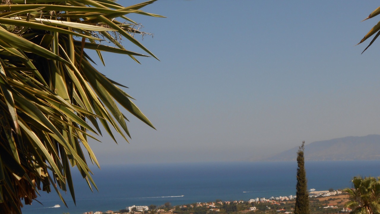 Photo of Others in Neo Chorio