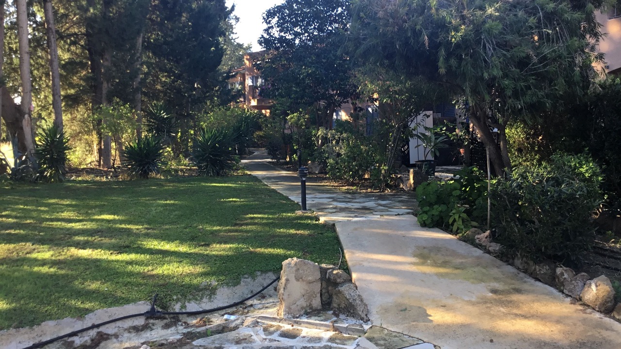 Photo of Outdoor in Paphos