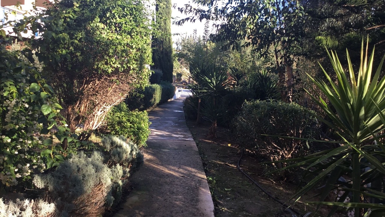 Photo of Outdoor in Paphos