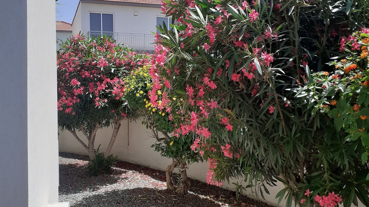 Photo of Outdoor in Alethriko