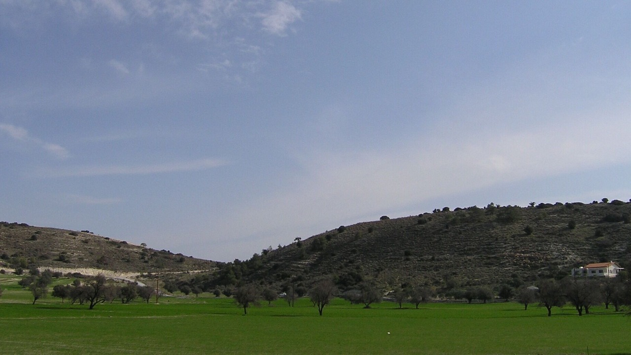Photo of Others in Alethriko