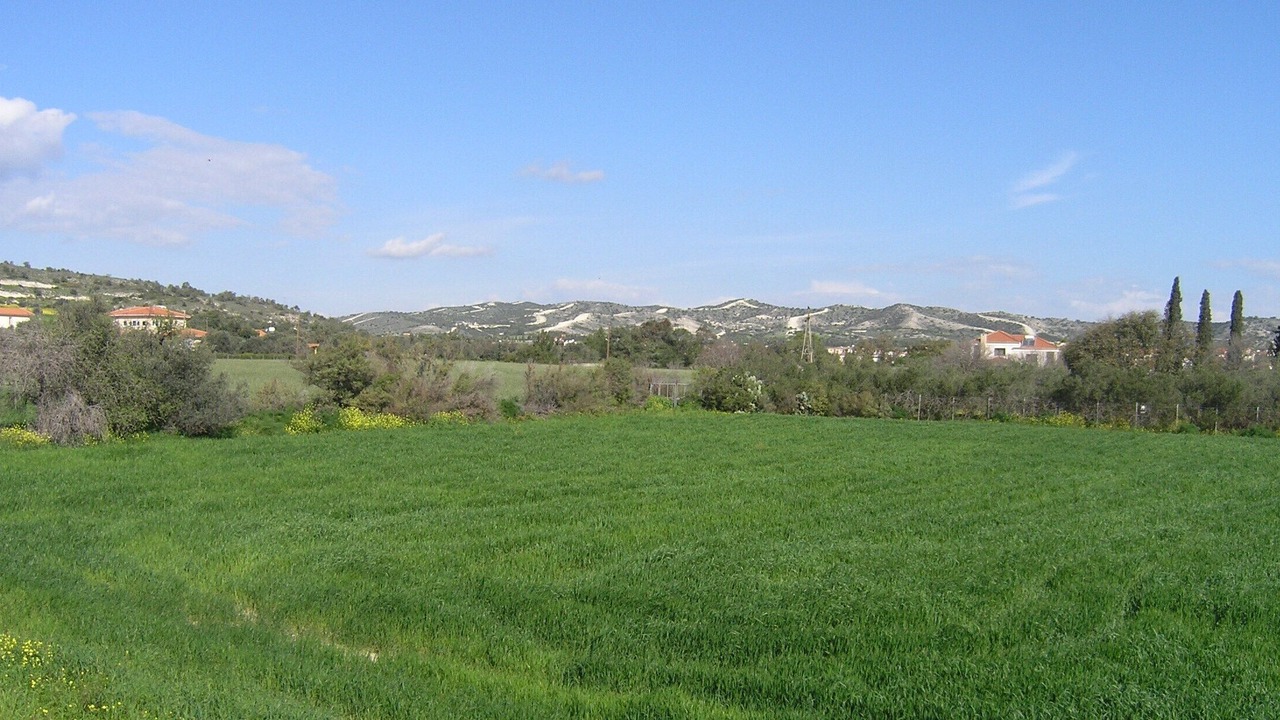 Photo of Outdoor in Alethriko
