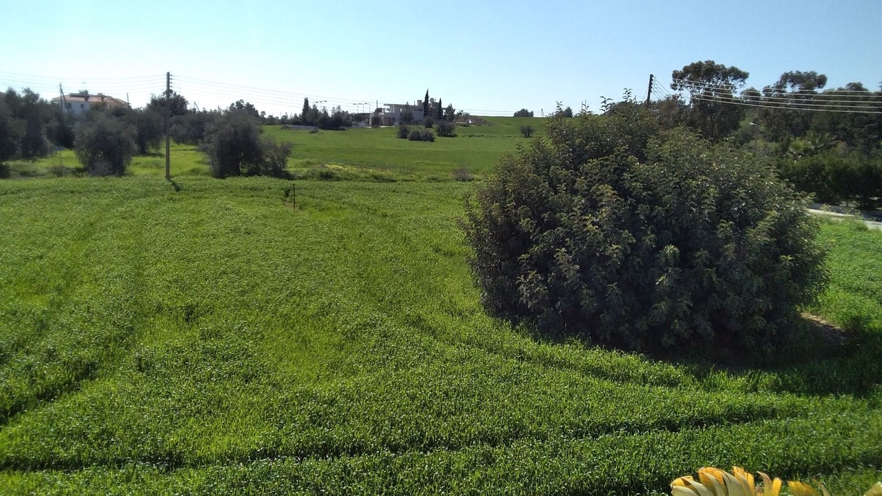 Photo of Others in Alethriko