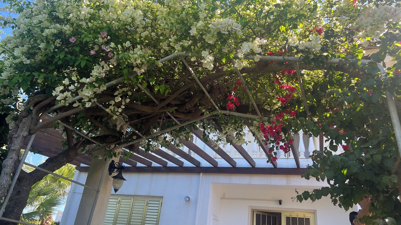 Photo of Outdoor in Pernera