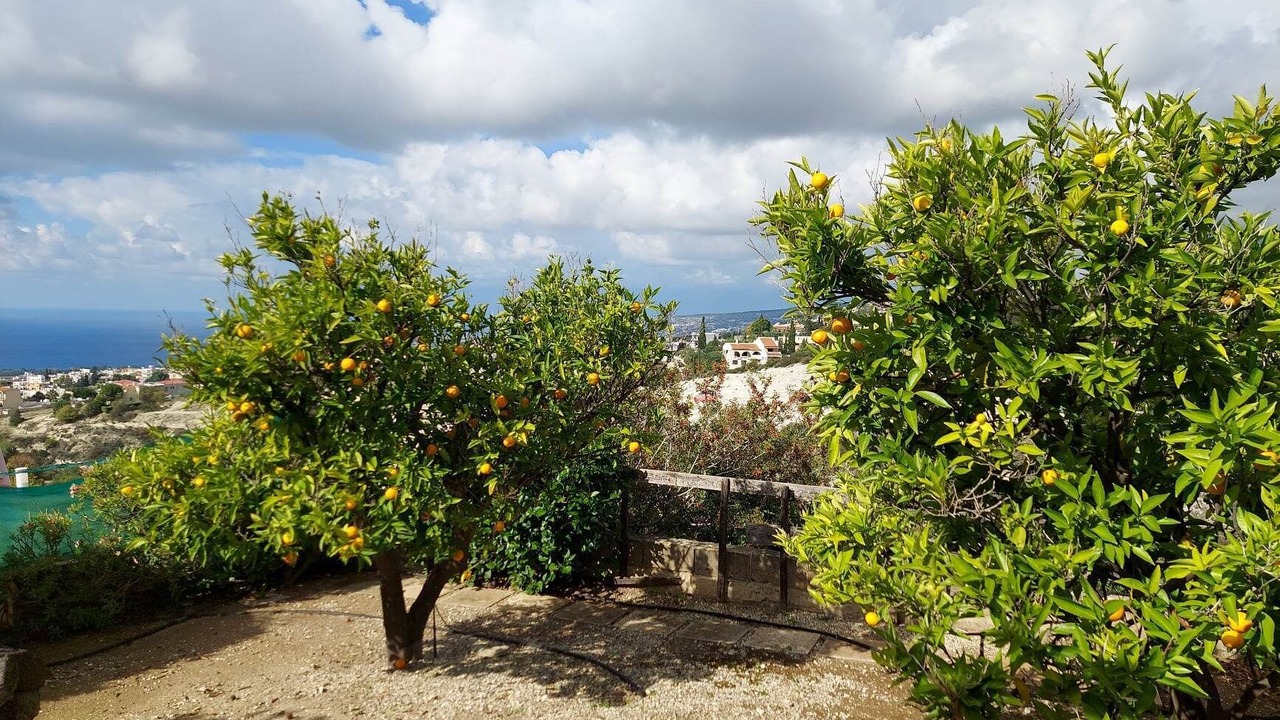 Photo of Outdoor in Tala