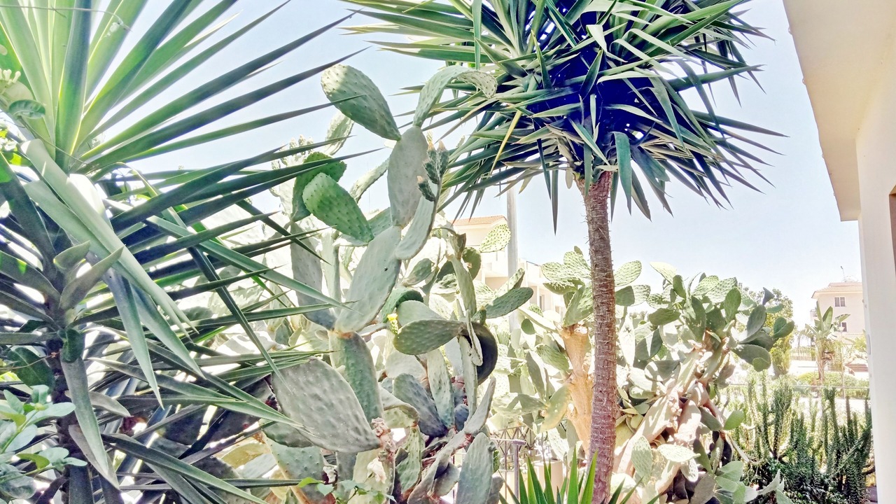 Photo of Outdoor in Oroklini
