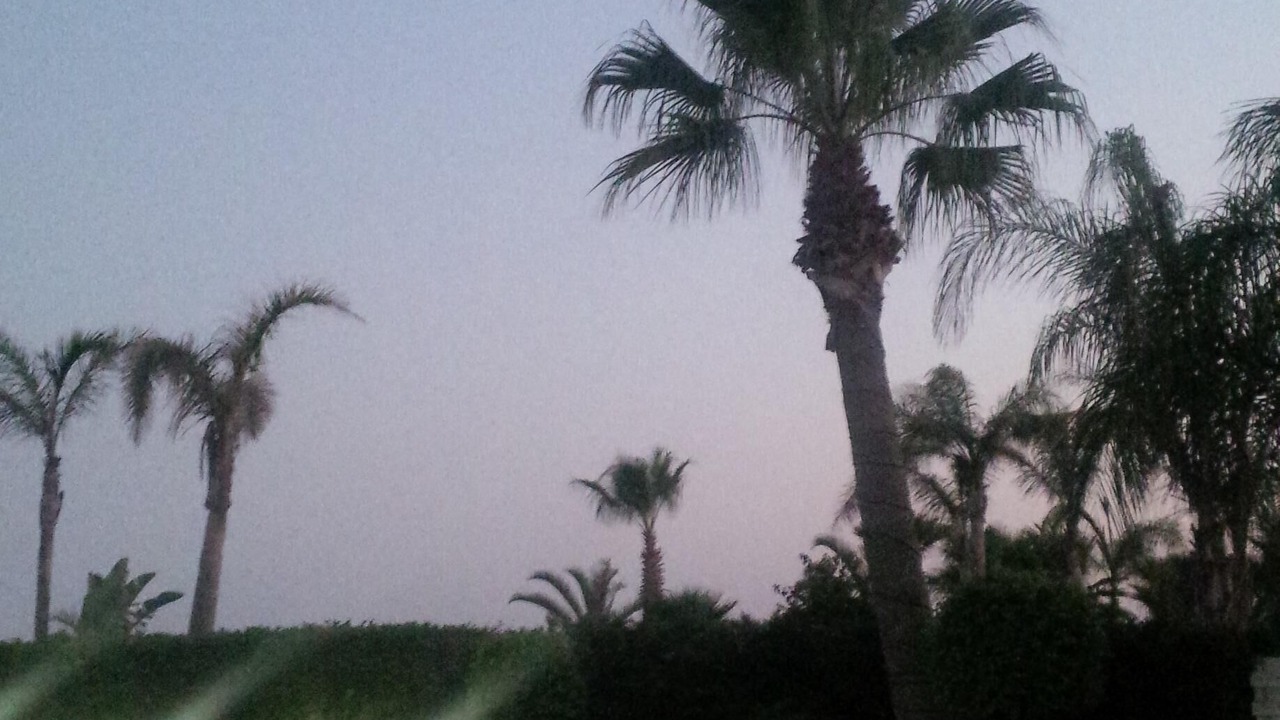Photo of Outdoor in Ayia Thekla