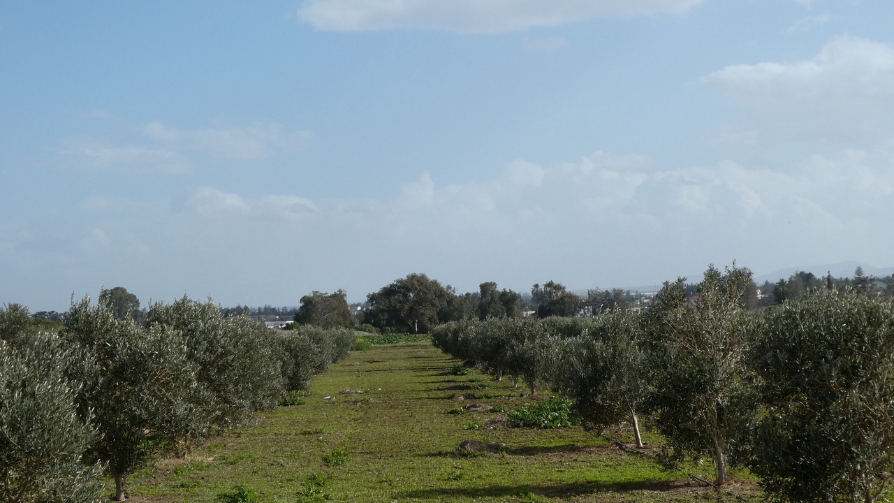 Photo of Outdoor in Ghaziveran