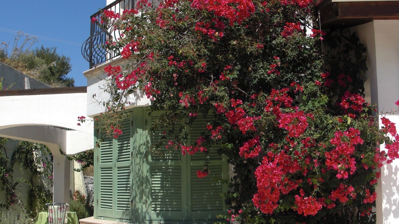 Photo of Outdoor in Karaman