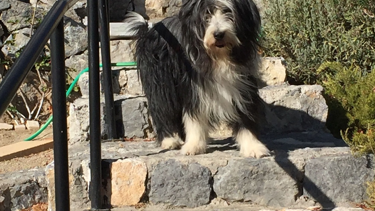 Photo of Outdoor in Karaman