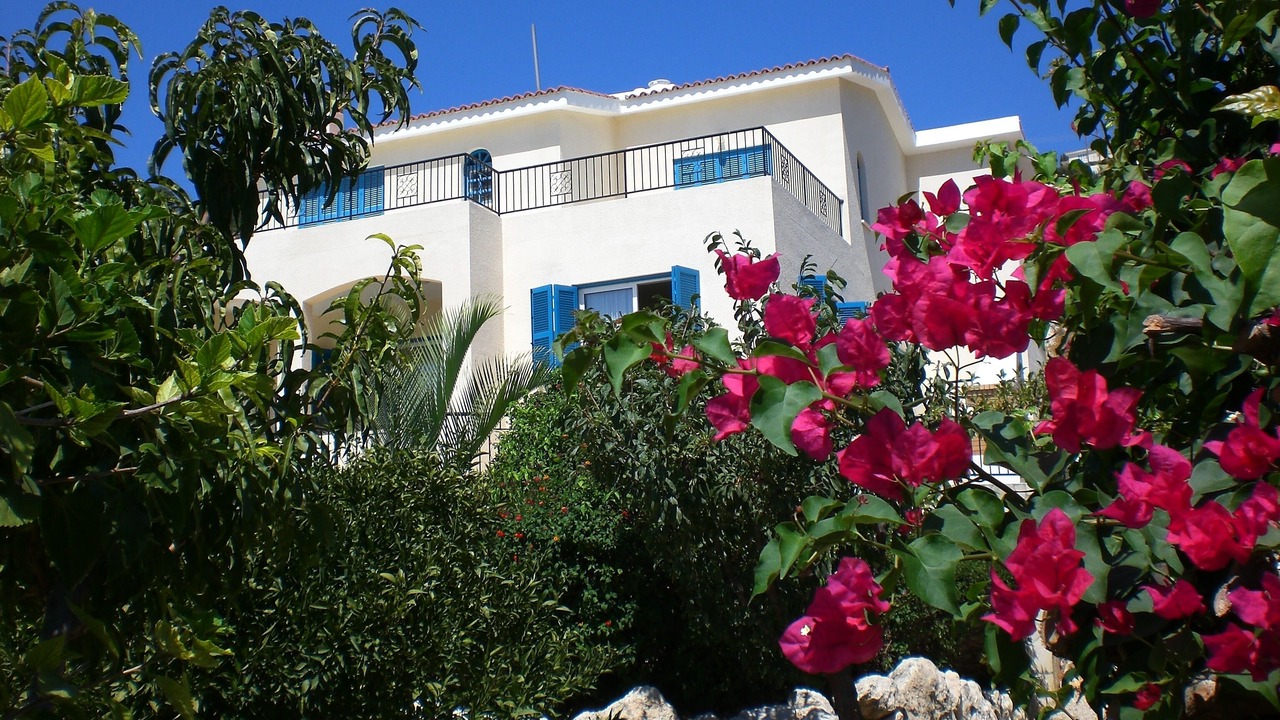 Photo of Others in Peyia Town
