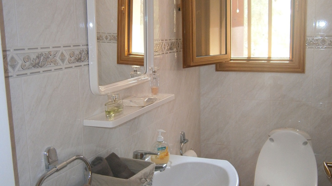 Photo of Bathroom in Trimiklini