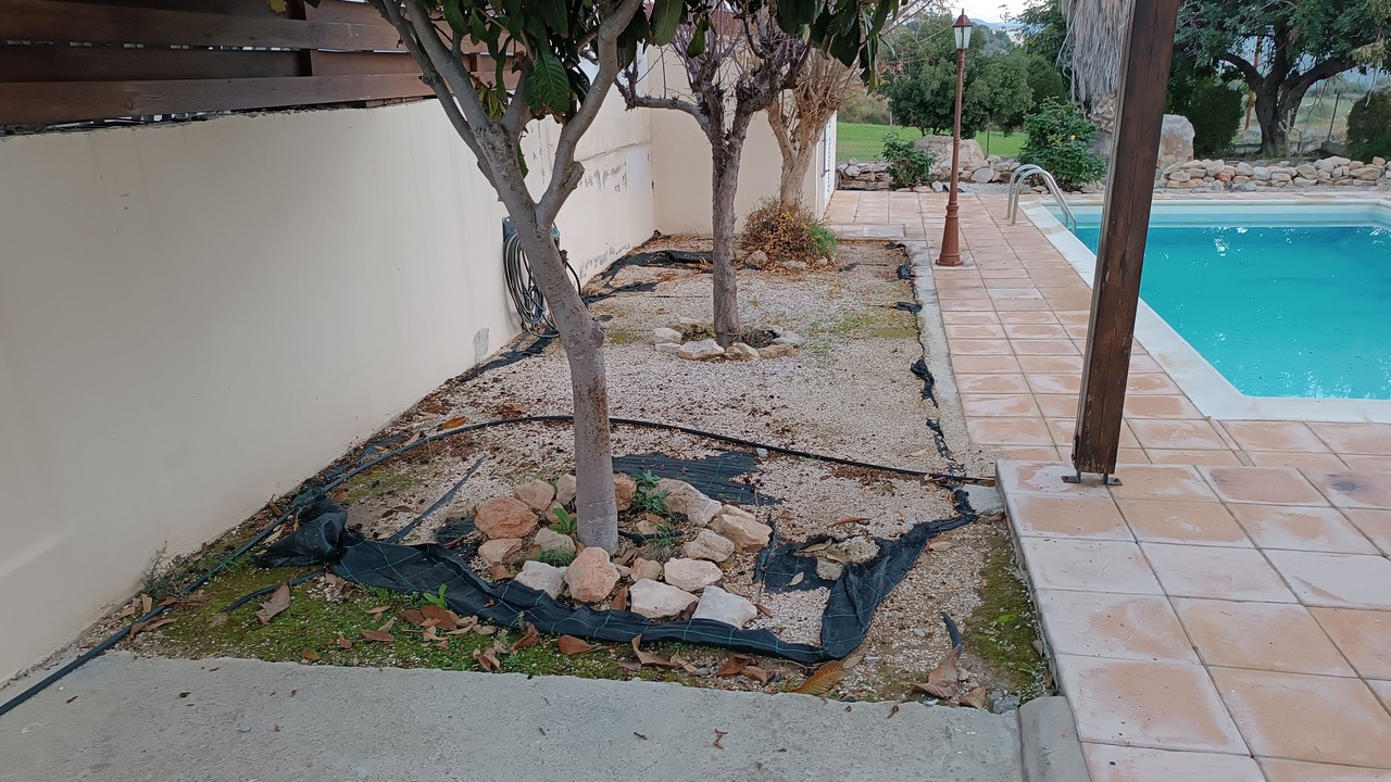 Photo of Outdoor in Pissouri