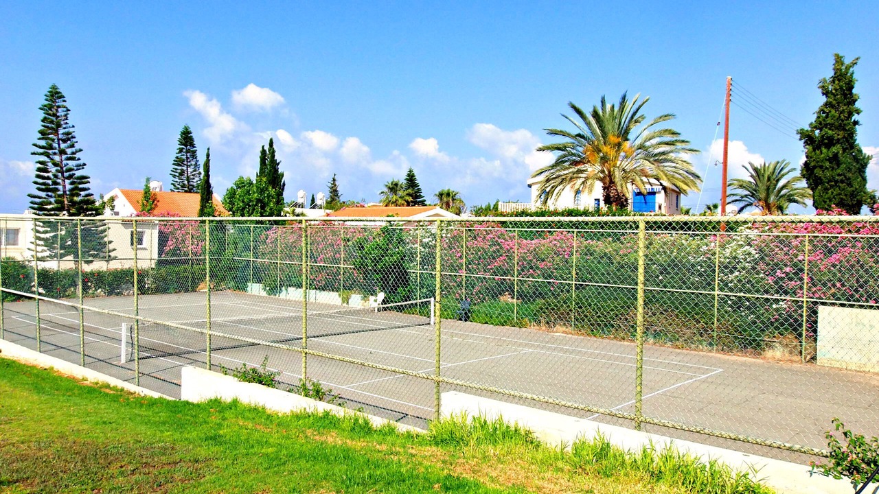 Photo of Others in Pegeia