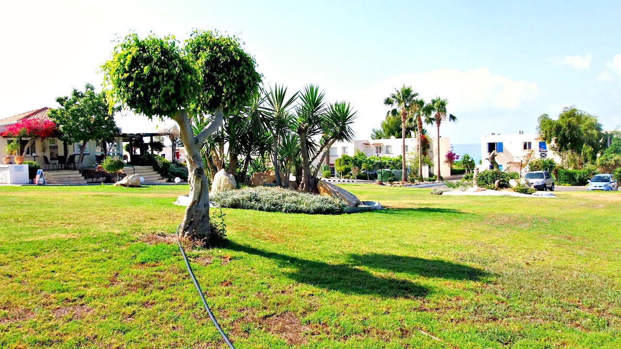 Photo of Outdoor in Pegeia