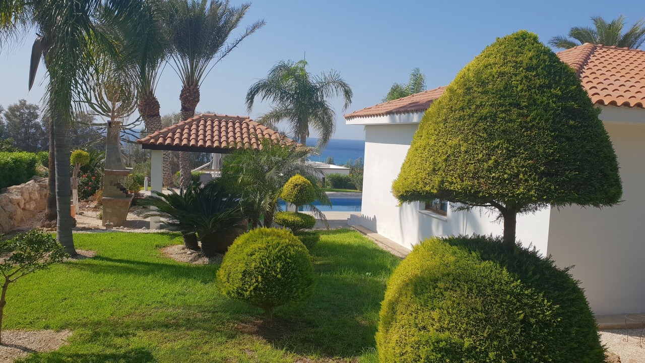 Photo of Outdoor in Kissonerga