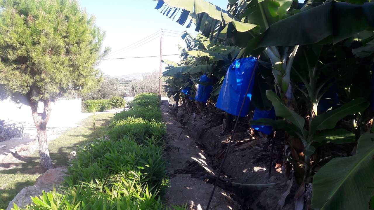 Photo of Outdoor in Kissonerga