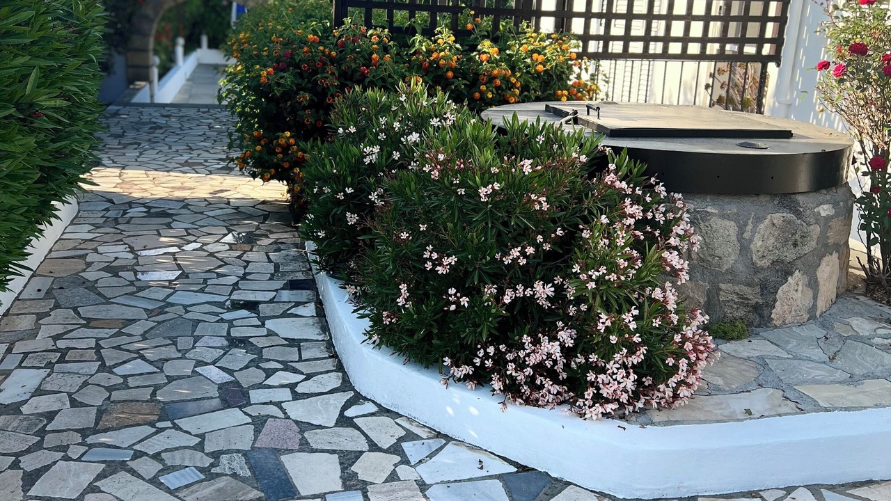 Photo of Outdoor in Kyrenia District