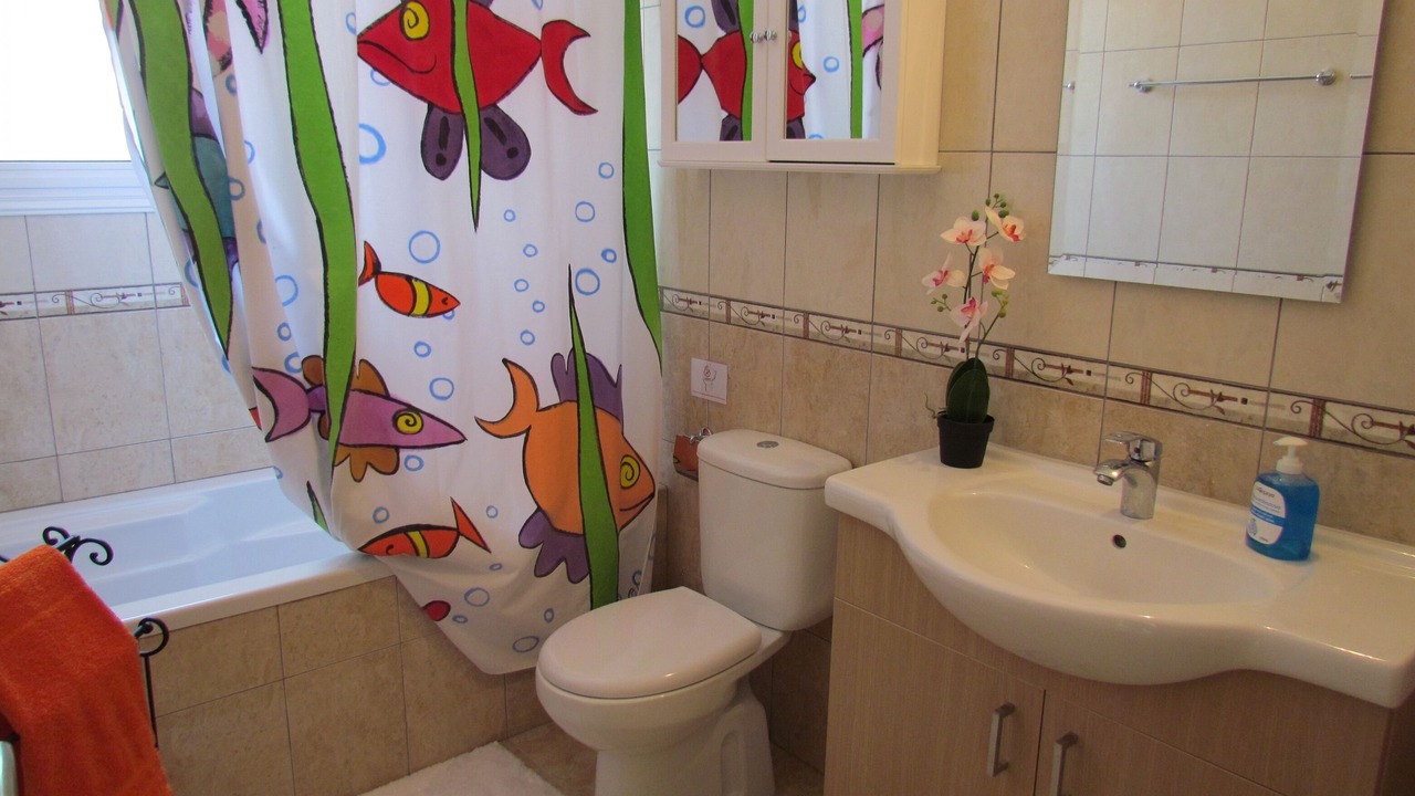 Photo of Bathroom in Alethriko