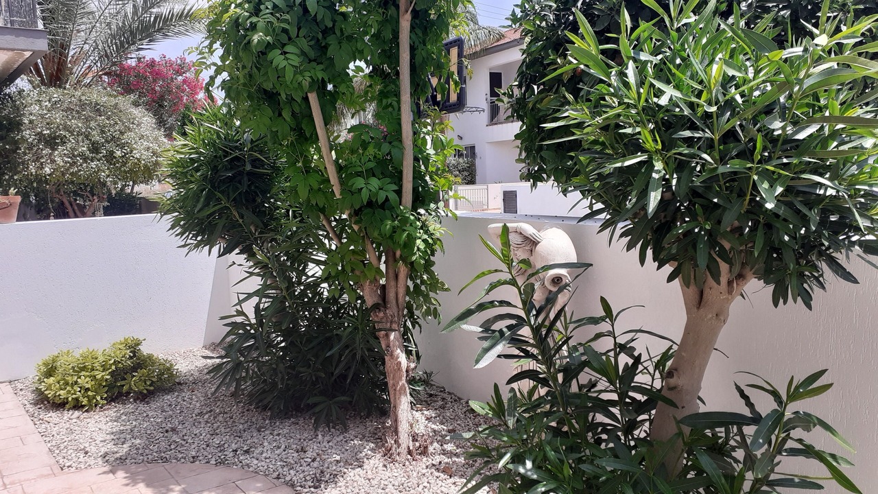 Photo of Outdoor in Alethriko