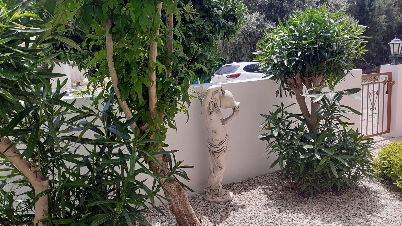 Photo of Outdoor in Alethriko