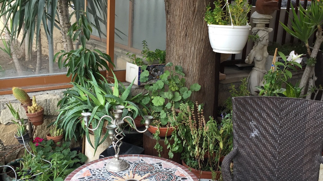 Photo of Patio Balcony in Paramytha