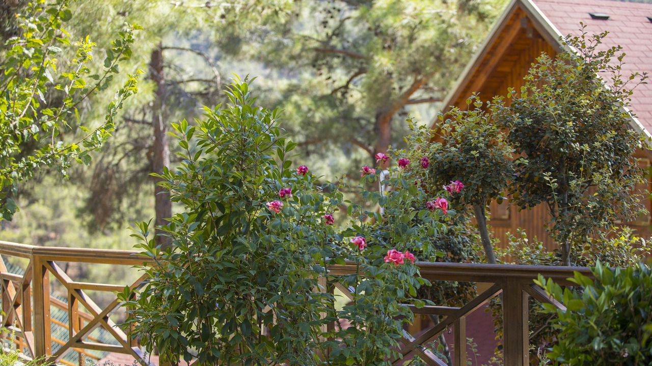 Photo of Outdoor in Spilia