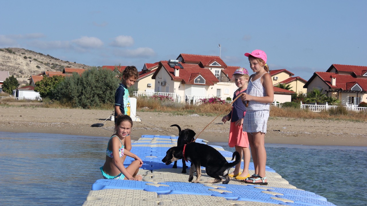 Photo of Others in Bogaz