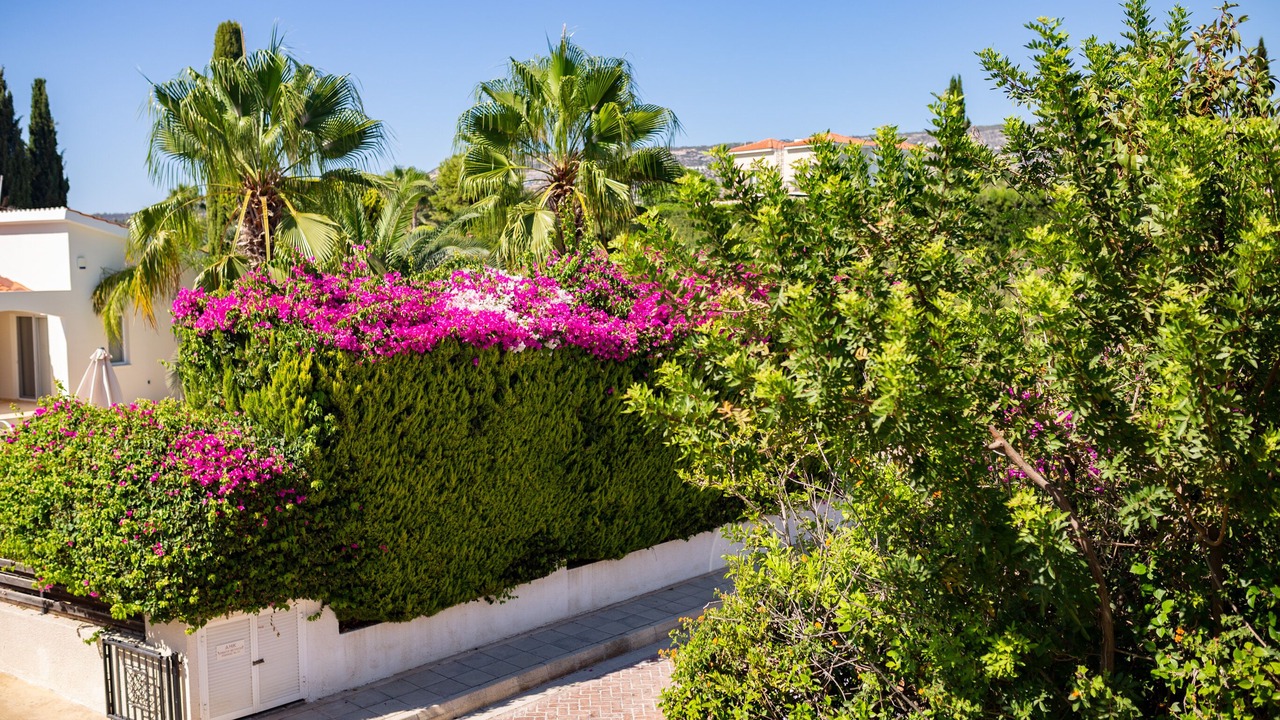 Photo of Outdoor in Pegeia