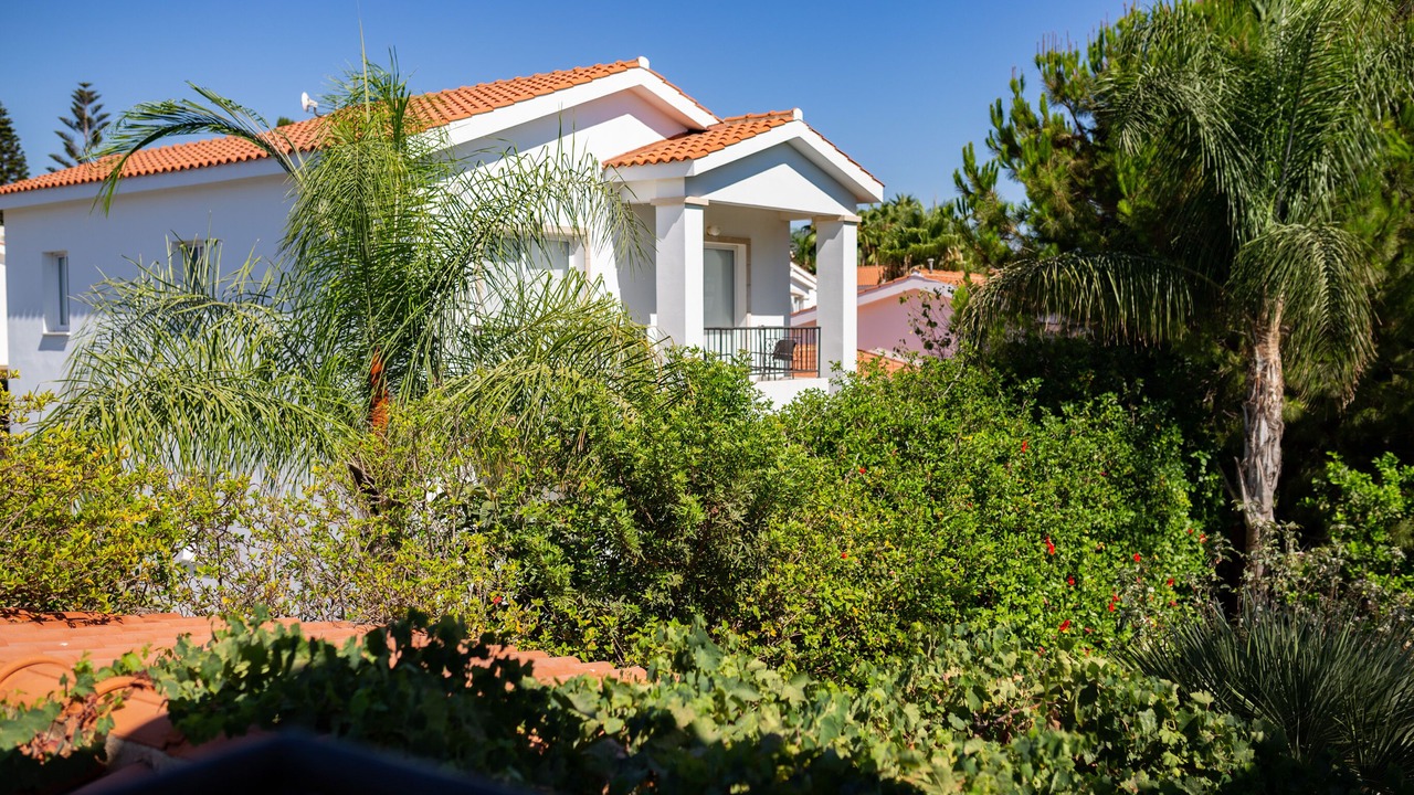 Photo of Outdoor in Pegeia