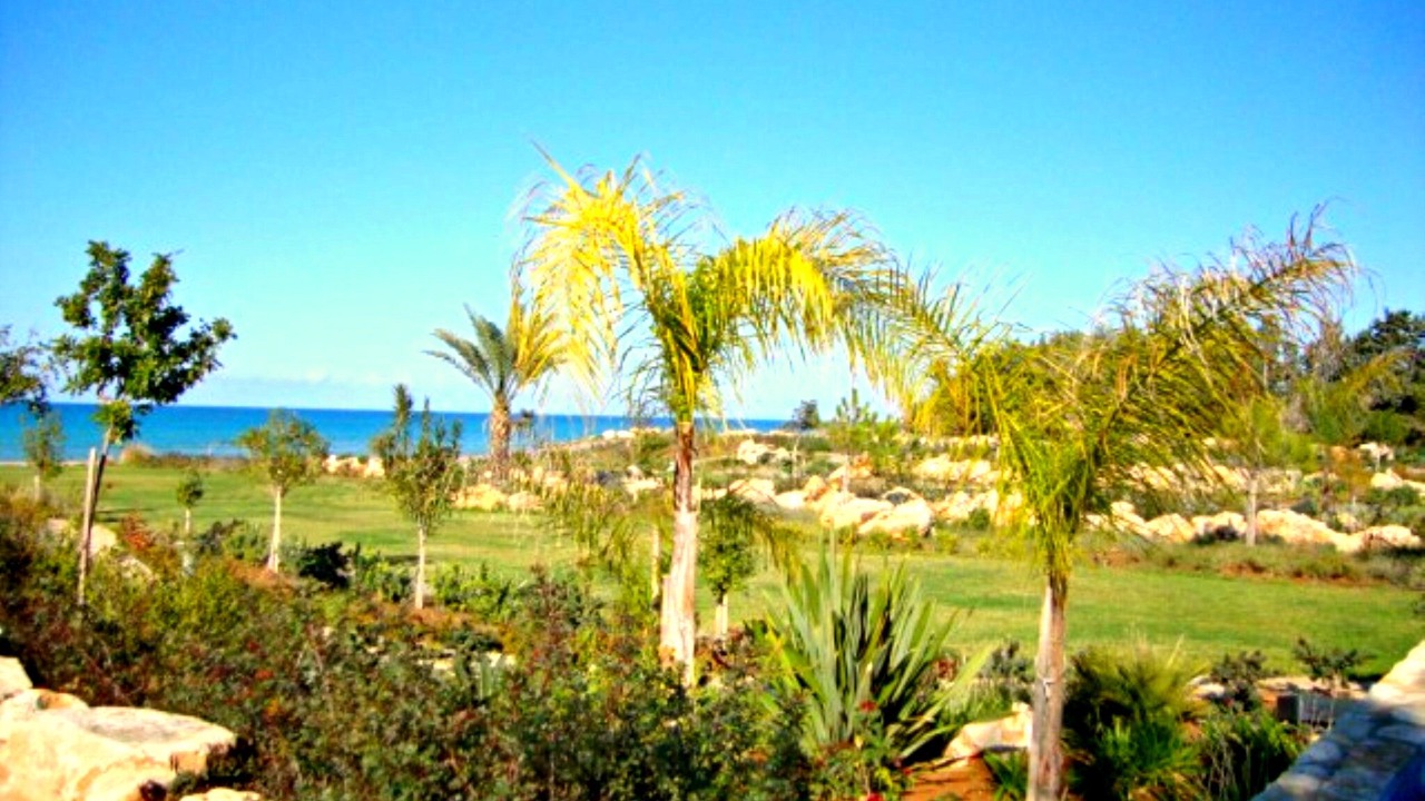Photo of Outdoor in Polis