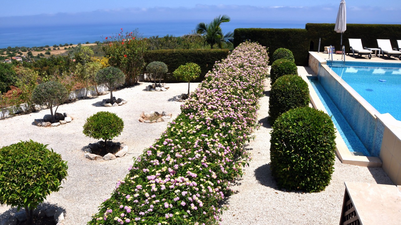 Photo of Outdoor in Latchi