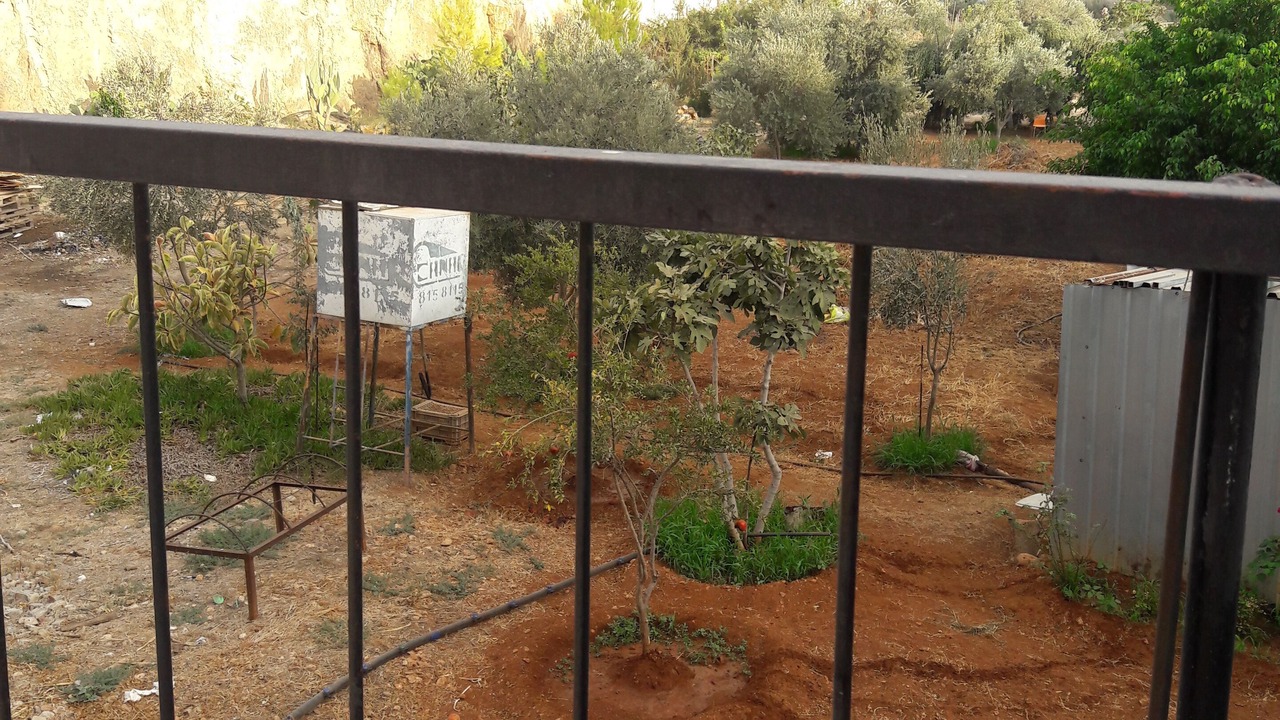 Photo of Outdoor in Cape Greko