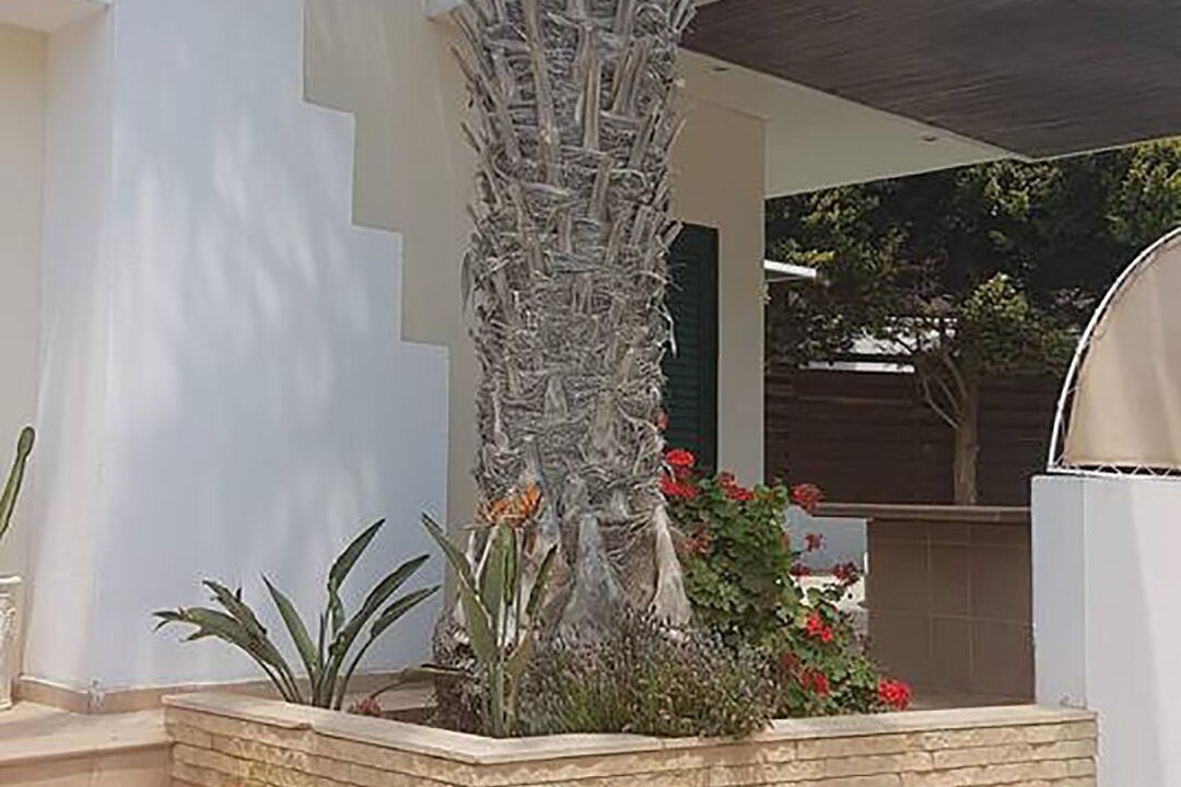 Photo of Outdoor in Protaras