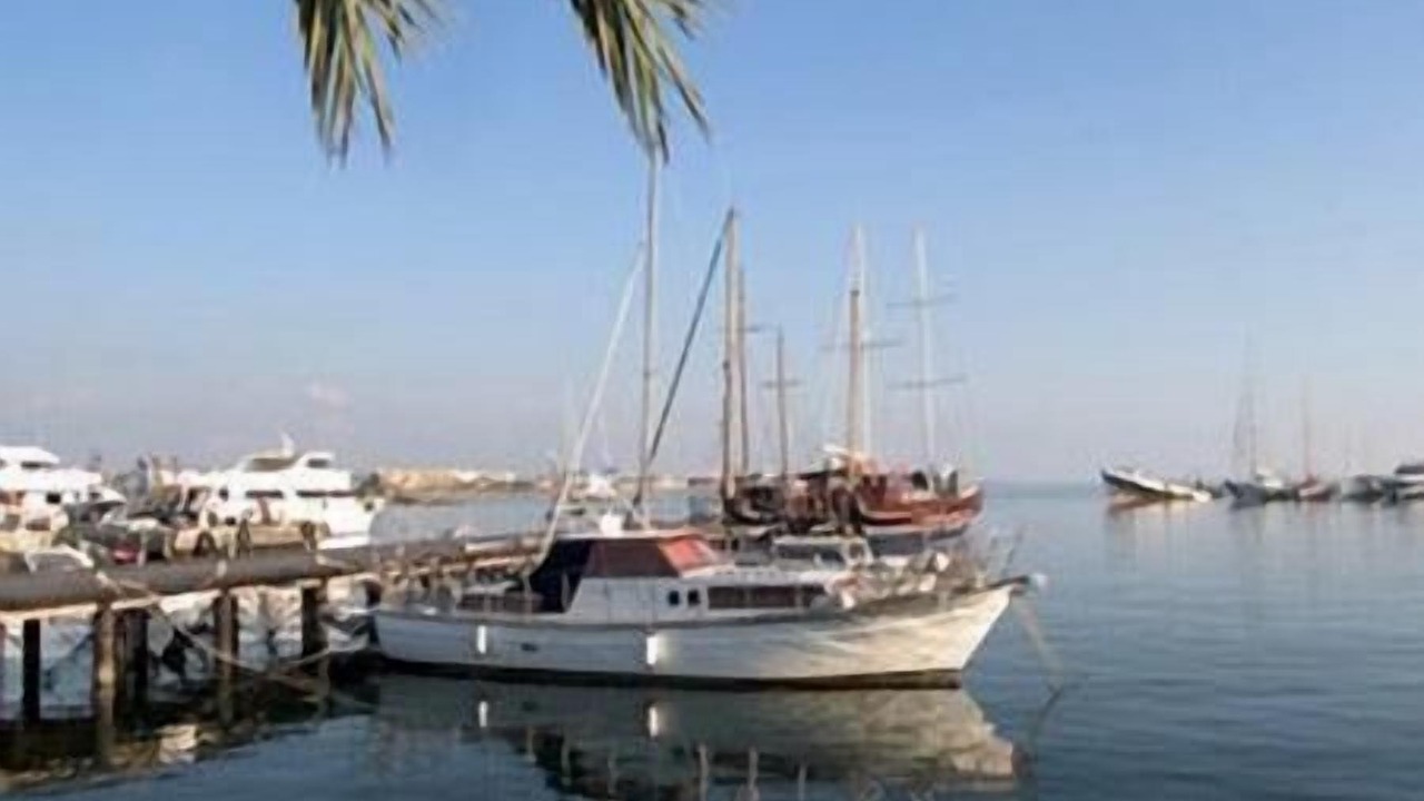 Photo of Others in Paphos