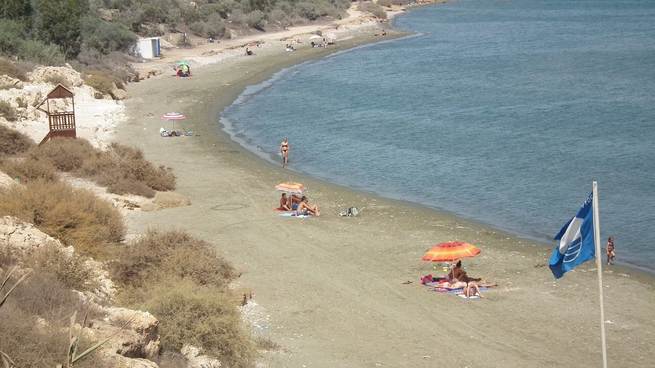 Photo of Others in Pervolia