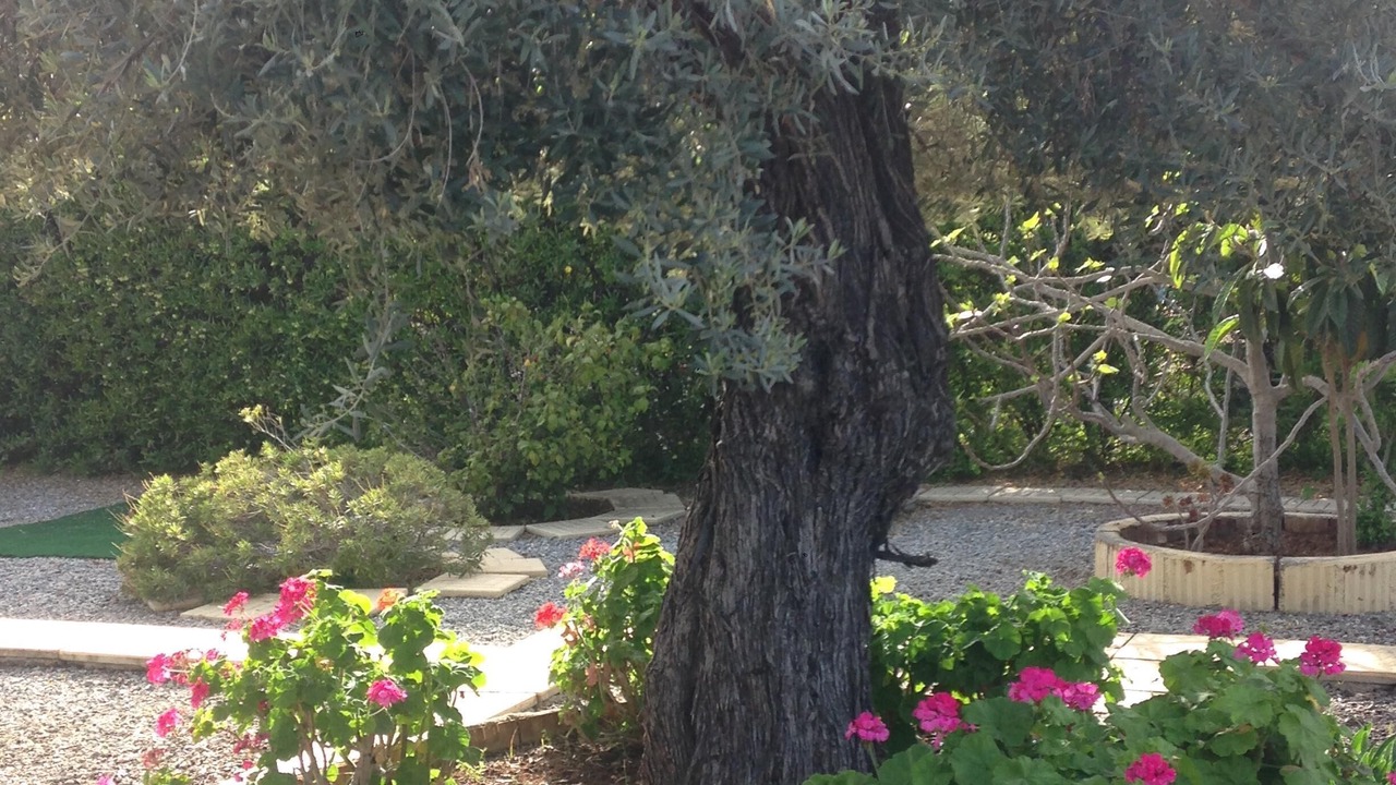 Photo of Outdoor in Kyrenia
