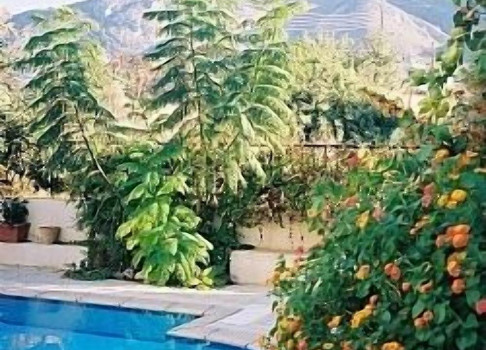 Photo of Outdoor in Ozankoy