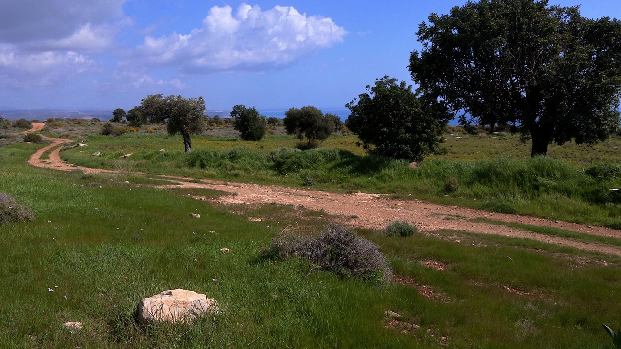 Photo of Others in Pissouri